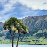 Wanaka, Haast Pass & West Coast: Westport, Neuseeland, 13.12.2024