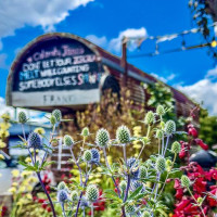 Bilder Nachtrag zum Eintrag 32: Westport, Neuseeland, 13.12.2024