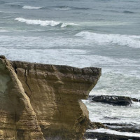 Bilder Nachtrag zum Eintrag 32: Westport, Neuseeland, 13.12.2024