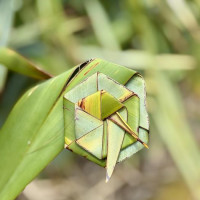 Bilder Nachtrag zum Eintrag 32: Westport, Neuseeland, 13.12.2024