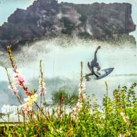 Bilder Nachtrag zum Eintrag 32: Westport, Neuseeland, 13.12.2024