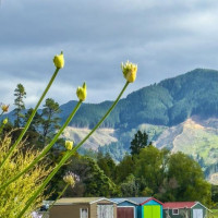 Abel Tasman, neue Flugerfahrung und wir verlassen die Südinsel: Okura, Neuseeland, 21.12.2024