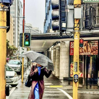 Abel Tasman, neue Flugerfahrung und wir verlassen die Südinsel: Okura, Neuseeland, 21.12.2024