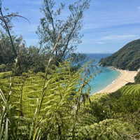 Abel Tasman, neue Flugerfahrung und wir verlassen die Südinsel: Okura, Neuseeland, 21.12.2024