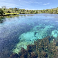 Abel Tasman, neue Flugerfahrung und wir verlassen die Südinsel: Okura, Neuseeland, 21.12.2024