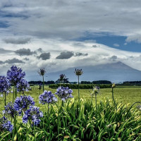 Vulkane, Art Deco, heiße Quellen - Merry Christmas: Rotorua, Neuseeland, 28.12.2024