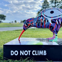 Vulkane, Art Deco, heiße Quellen - Merry Christmas: Rotorua, Neuseeland, 28.12.2024