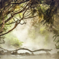 Vulkane, Art Deco, heiße Quellen - Merry Christmas: Rotorua, Neuseeland, 28.12.2024