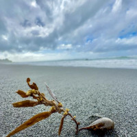 Vulkane, Art Deco, heiße Quellen - Merry Christmas: Rotorua, Neuseeland, 28.12.2024