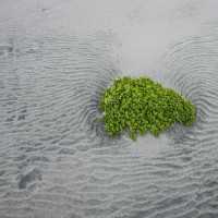 Vulkane, Art Deco, heiße Quellen - Merry Christmas: Rotorua, Neuseeland, 28.12.2024