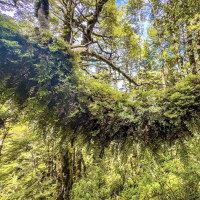 Vulkane, Art Deco, heiße Quellen - Merry Christmas: Rotorua, Neuseeland, 28.12.2024