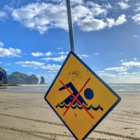 Die letzten Tage in Nz…..Coromandel Peninsula, Piha, Bay of Islands: Ruakaka, Neuseeland, 07.01.2025