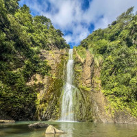 Die letzten Tage in Nz…..Coromandel Peninsula, Piha, Bay of Islands: Ruakaka, Neuseeland, 07.01.2025