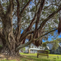 Die letzten Tage in Nz…..Coromandel Peninsula, Piha, Bay of Islands: Ruakaka, Neuseeland, 07.01.2025