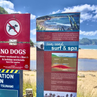 Die letzten Tage in Nz…..Coromandel Peninsula, Piha, Bay of Islands: Ruakaka, Neuseeland, 07.01.2025