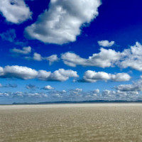 Die letzten Tage in Nz…..Coromandel Peninsula, Piha, Bay of Islands: Ruakaka, Neuseeland, 07.01.2025