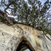 Die letzten Tage in Nz…..Coromandel Peninsula, Piha, Bay of Islands: Ruakaka, Neuseeland, 07.01.2025