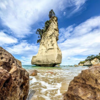 Die letzten Tage in Nz…..Coromandel Peninsula, Piha, Bay of Islands: Ruakaka, Neuseeland, 07.01.2025