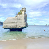 Die letzten Tage in Nz…..Coromandel Peninsula, Piha, Bay of Islands: Ruakaka, Neuseeland, 07.01.2025