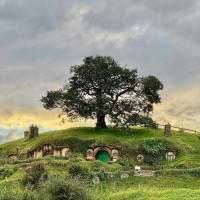 Hobbiton und Auckland & bye bye Neuseeland: Auckland, Neuseeland, 13.01.2025