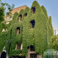 Bienvenido a Chile - Santiago de Chile & Valparadiso: Santiago de Chile, Chile, 16.01.2025