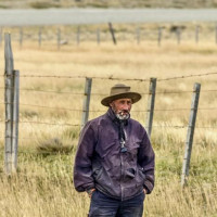 Punta Arenas, Feuerland ….Der Roadtrip durch Patagonien kann starten: Puerto Natales, Chile, 02.02.2025