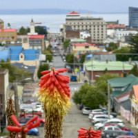 Punta Arenas, Feuerland ….Der Roadtrip durch Patagonien kann starten: Puerto Natales, Chile, 02.02.2025