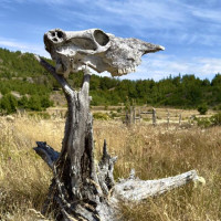 Natur die Glücklich macht und Straßen zum verzweifeln: Puerto Tranquilo, Chile, 13.02.2025