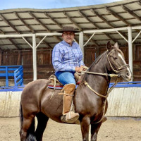 Auf der Carretera Austral nordwärts: Villa Maniguales, Chile, 16.02.2025