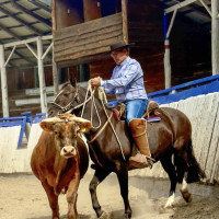 Auf der Carretera Austral nordwärts: Villa Maniguales, Chile, 16.02.2025
