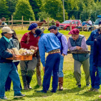 Auf der Carretera Austral nordwärts: Villa Maniguales, Chile, 16.02.2025