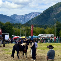 Auf der Carretera Austral nordwärts: Villa Maniguales, Chile, 16.02.2025
