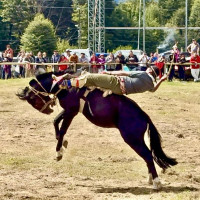 Auf der Carretera Austral nordwärts: Villa Maniguales, Chile, 16.02.2025