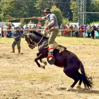 Auf der Carretera Austral nordwärts: Villa Maniguales, Chile, 16.02.2025