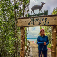 Vulkanbesteigung, anschließend Inselbesuch: Ancud - Isla Grande de Chiloé, Chile, 23.02.2025