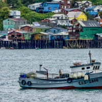 Vulkanbesteigung, anschließend Inselbesuch: Ancud - Isla Grande de Chiloé, Chile, 23.02.2025