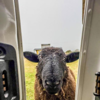 Vulkanbesteigung, anschließend Inselbesuch: Ancud - Isla Grande de Chiloé, Chile, 23.02.2025