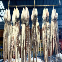 Puerto Montt, Vulkan Osorno & der Abschied von Chile: Puerto Octay - Las Cascdas, Chile, 04.03.2025