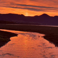 Puerto Montt, Vulkan Osorno & der Abschied von Chile: Puerto Octay - Las Cascdas, Chile, 04.03.2025